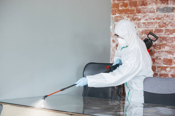 Schriever, LA Mold Removal & Remediation Company